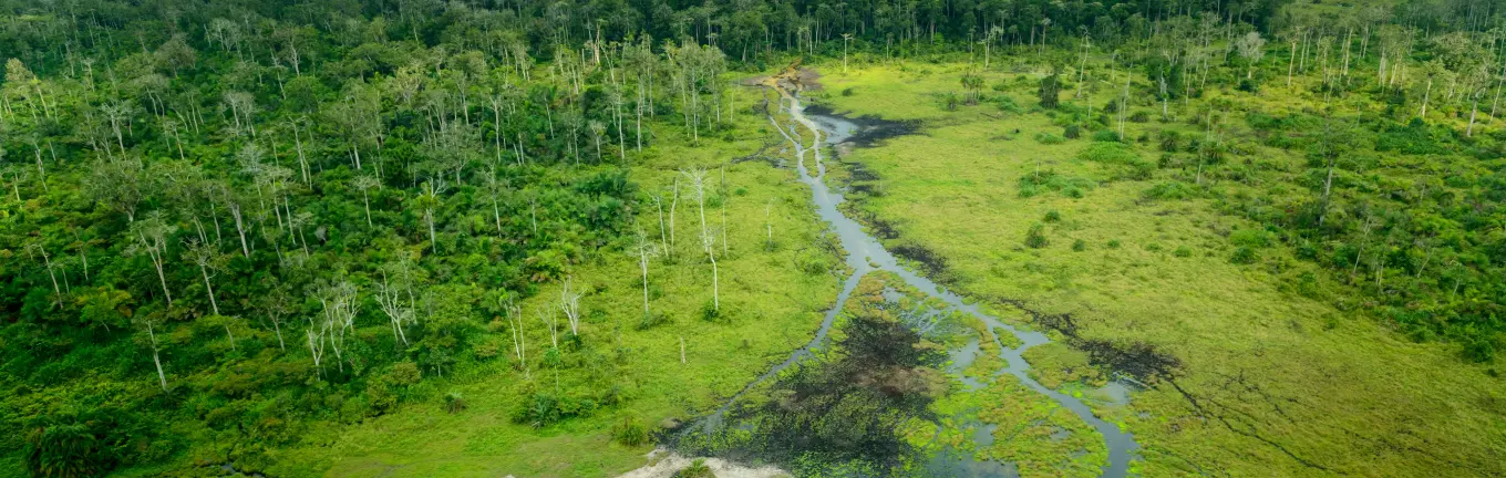 eSIM Congo for travel