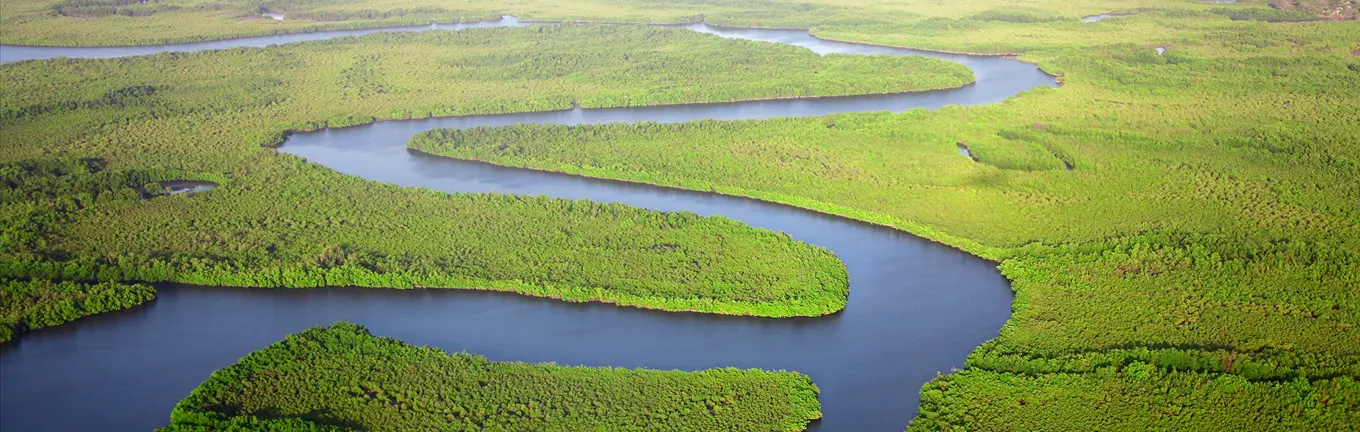 eSIM Gambia for travel