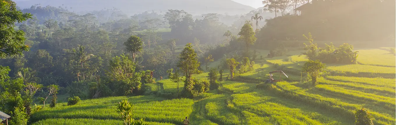 eSIM Indonesia for travel