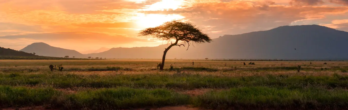 eSIM Kenya for travel