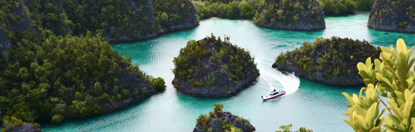 eSIM Papua New Guinea for travel