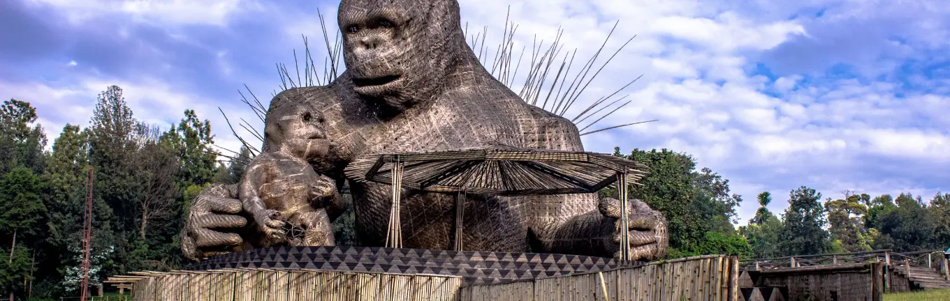 eSIM Rwanda for travel