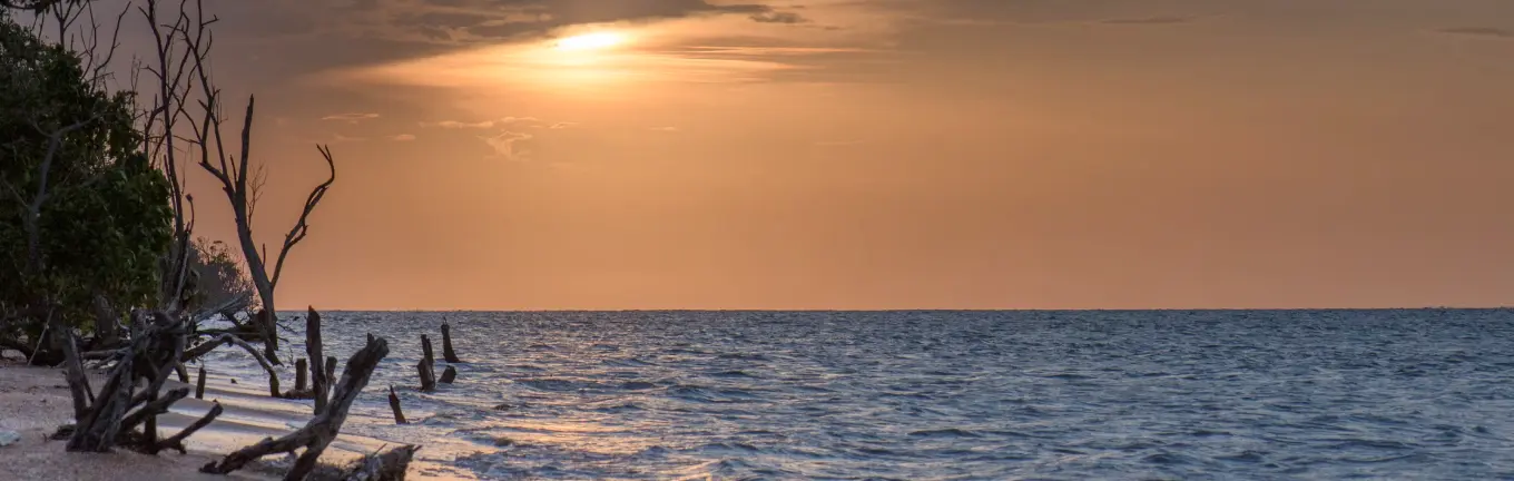 eSIM Suriname for travel