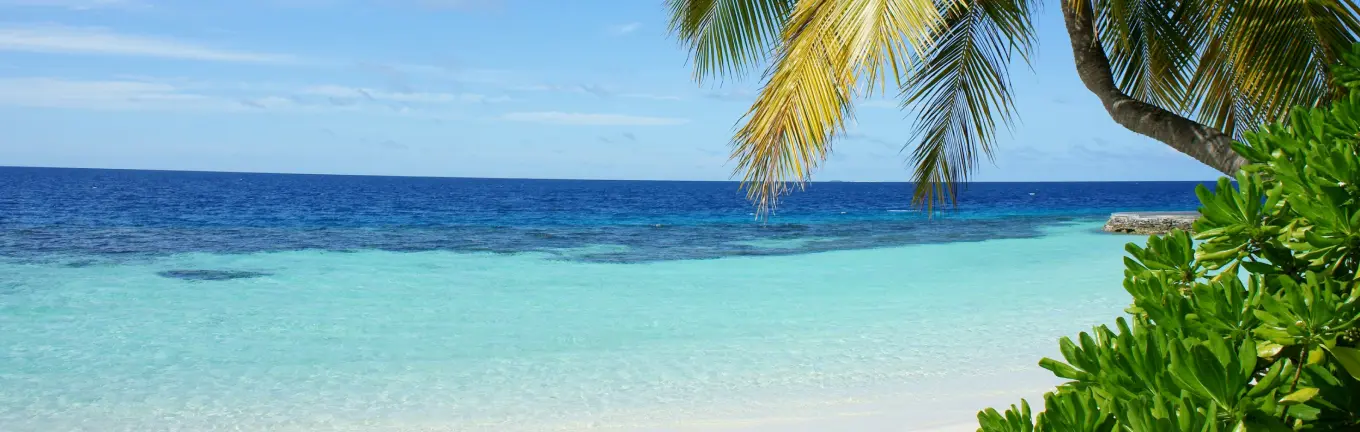 eSIM Tonga for travel