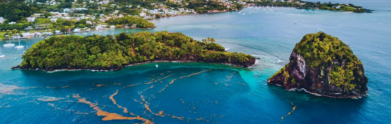 eSIM Saint Vincent and the Grenadines for travel