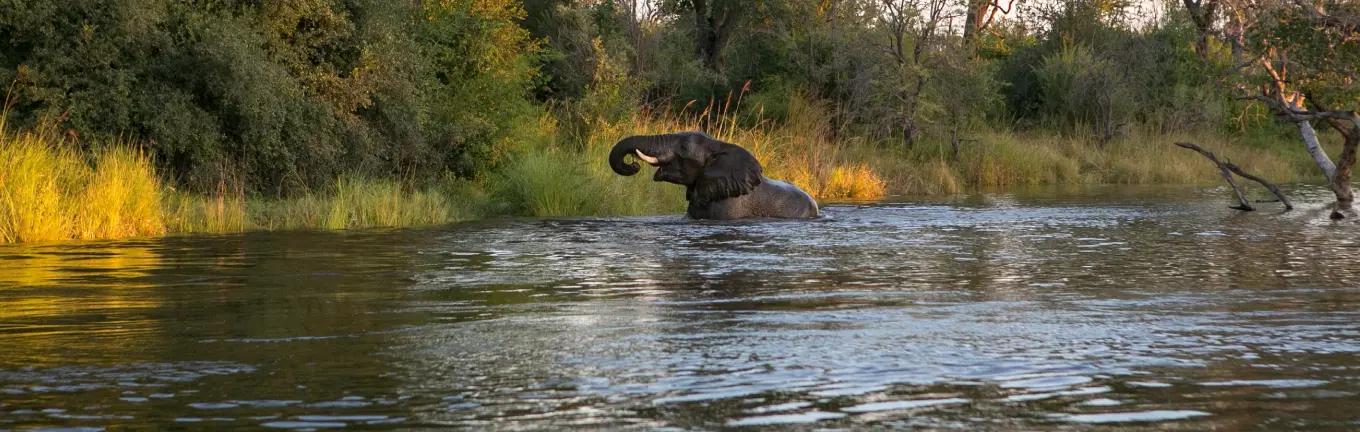 eSIM Zambia for travel